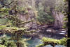 The westernmost point of the contiguous states is Cape Flattery on the Pacific Coast of Washington. 
			The area is owned by a native tribe and one must obtain permits to visit Cape Flattery.