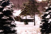 During winter, the barn retains its appeal with a mantel of snow around it.