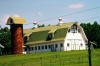 Tucked away in southern Indiana is this barn that has a unique personality.  It has an attached silo and the grounds are well cared for.  The animals associated with the barn are not ordinary cattle.