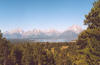 Above and east of Jackson Lake is Signal Mountain.  The view from Jackson Point, near the top of Signal Mountain, provides a vista which includes all the peaks in the Tetons and a panorama of the surrounding lakes.