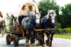 Also marking the Ohio Bicentennial was the Ohio Bicentennial Covered Wagon train that crossed the state along US 40, the National Highway.